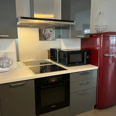 3 Etoiles A 50m De La Plage De Avec Terrasse Et Parking Prive - Fr-1-539-2 アパート *