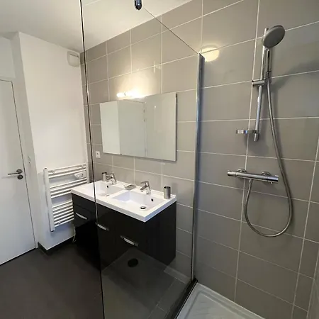 3 Etoiles A 50m De La Plage De Avec Terrasse Et Parking Prive - Fr-1-539-2 ロワイヤン